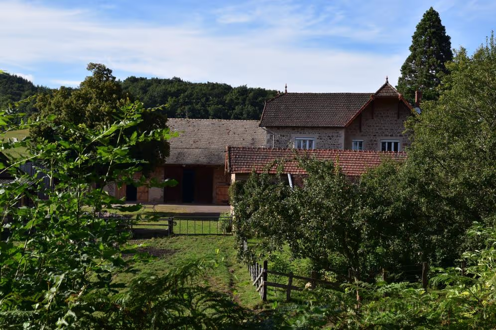 Vue sur la maison et les feuillages