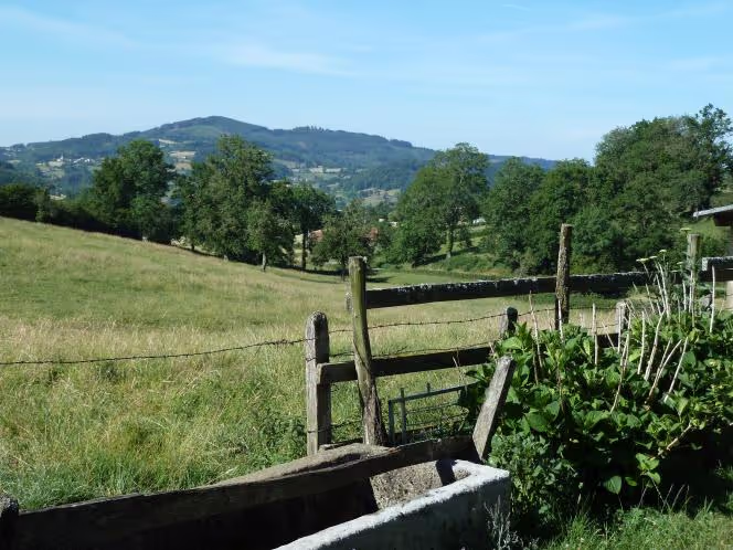 Vue sur la cour Vue sur la cour